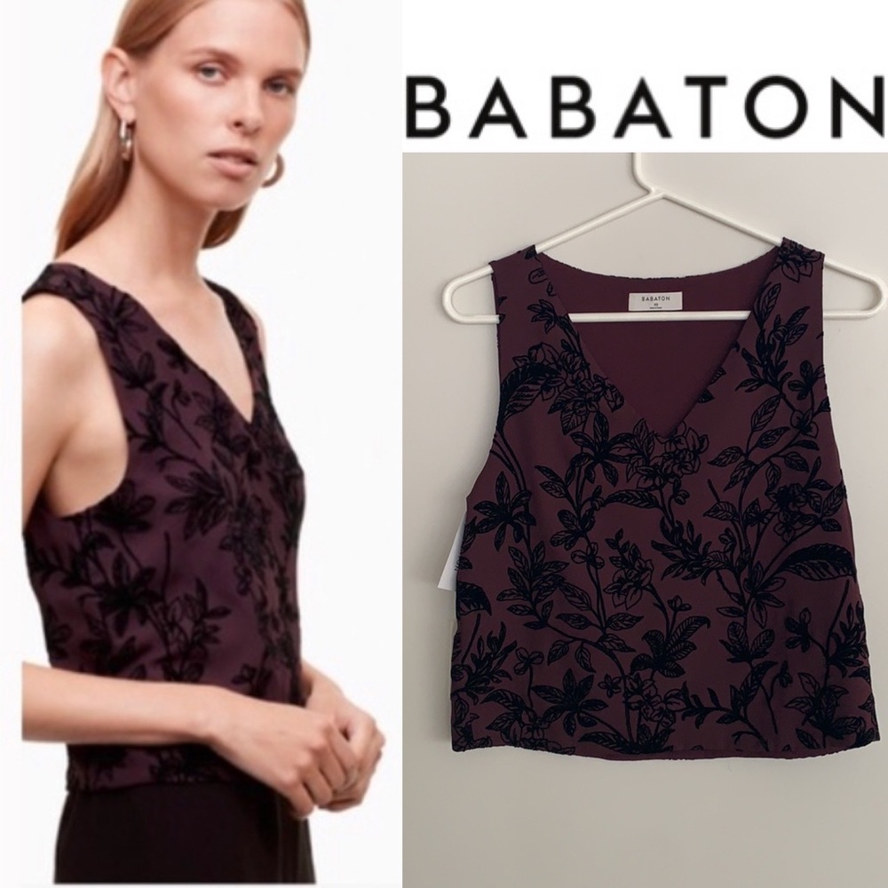 NWT Aritzia Babaton Murphy Blouse